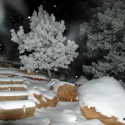 Night Time in the Snow on the Manitou Incline