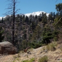 Pikes Peak from Trail from top of Manitou Incline to Barr Trail