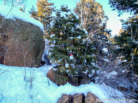 Christmas Tree at Top of Manitou Incline