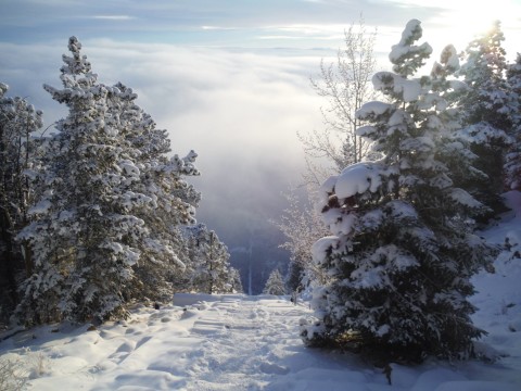 Snowy Incline on December 7, 2013