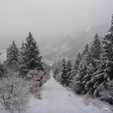 Winter on the Manitou Incline